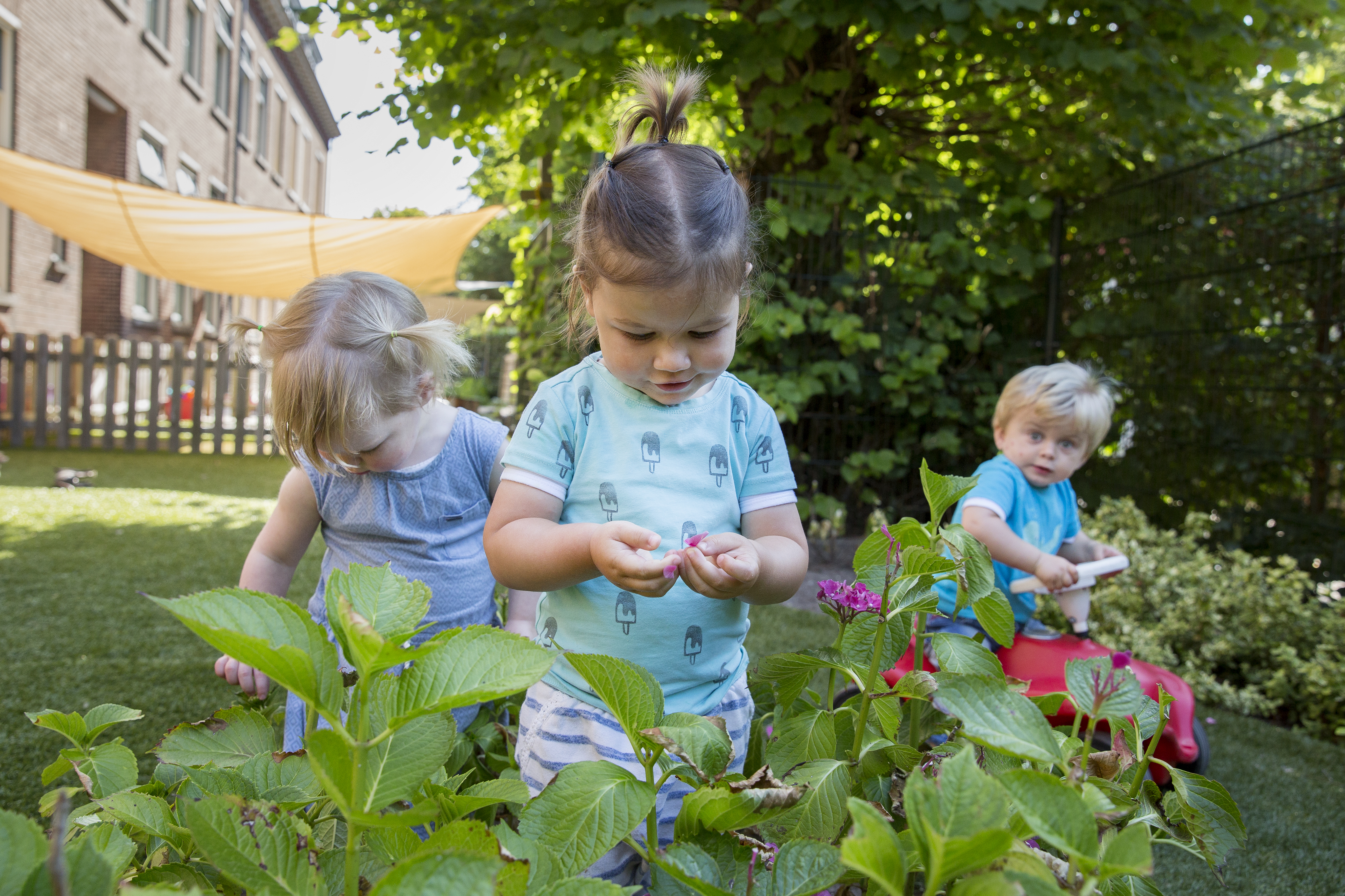 Werken Bij Compananny Kinderopvang Oegstgeest Tuin Locaties